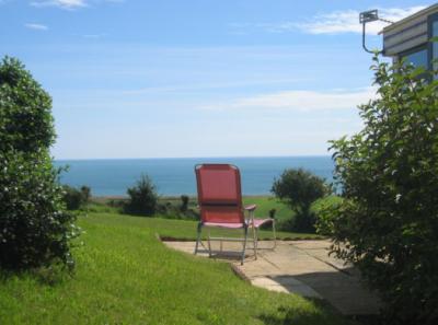 Looking out from patio